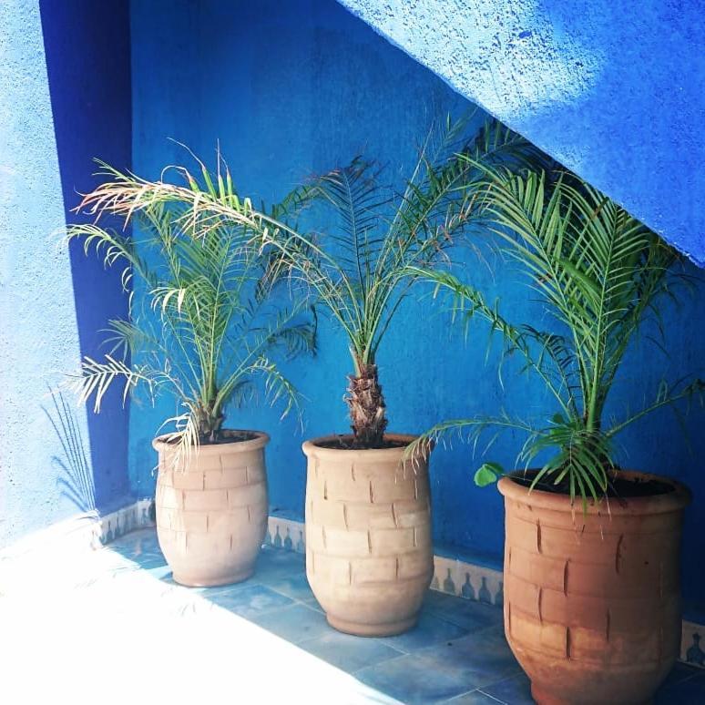 Dar Massaneh Villa Essaouira Exterior photo